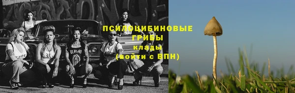 скорость Арсеньев